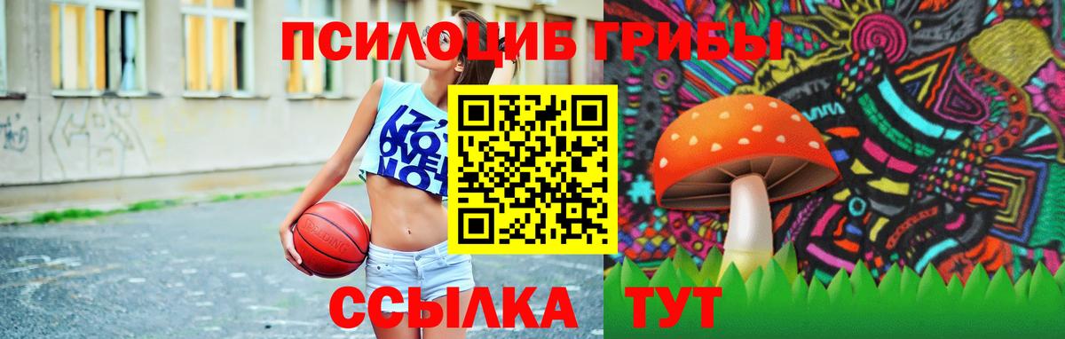 Галлюциногенные грибы мицелий Карабулак