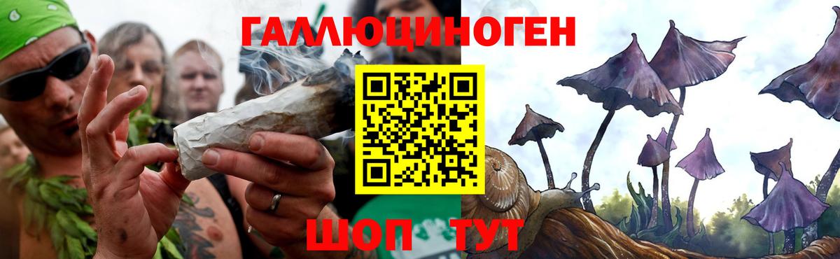 Карабулак  Галлюциногенные грибы мицелий  Вход с VPN 